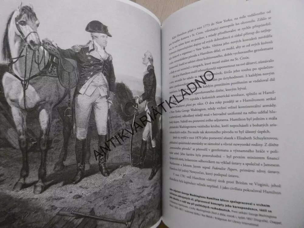 SLAVNÍ BASTARDI, JURÉ FIORILLO, **an