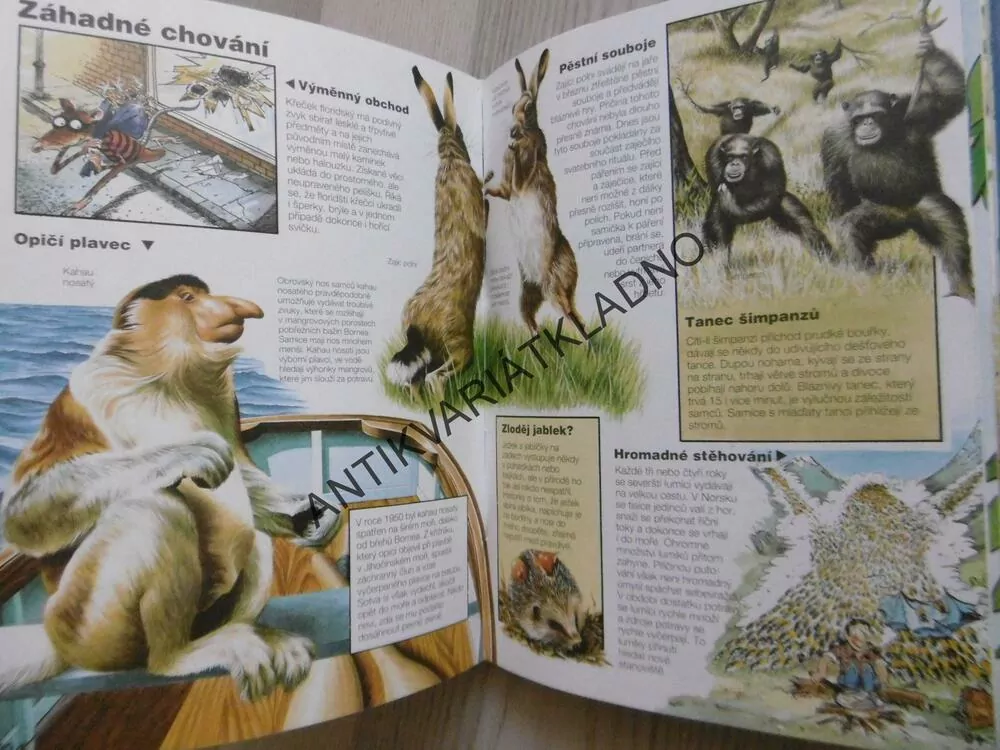 ZÁZRAKY A TAJEMSTVÍ V PŘÍRODĚ, USBORNE, **an