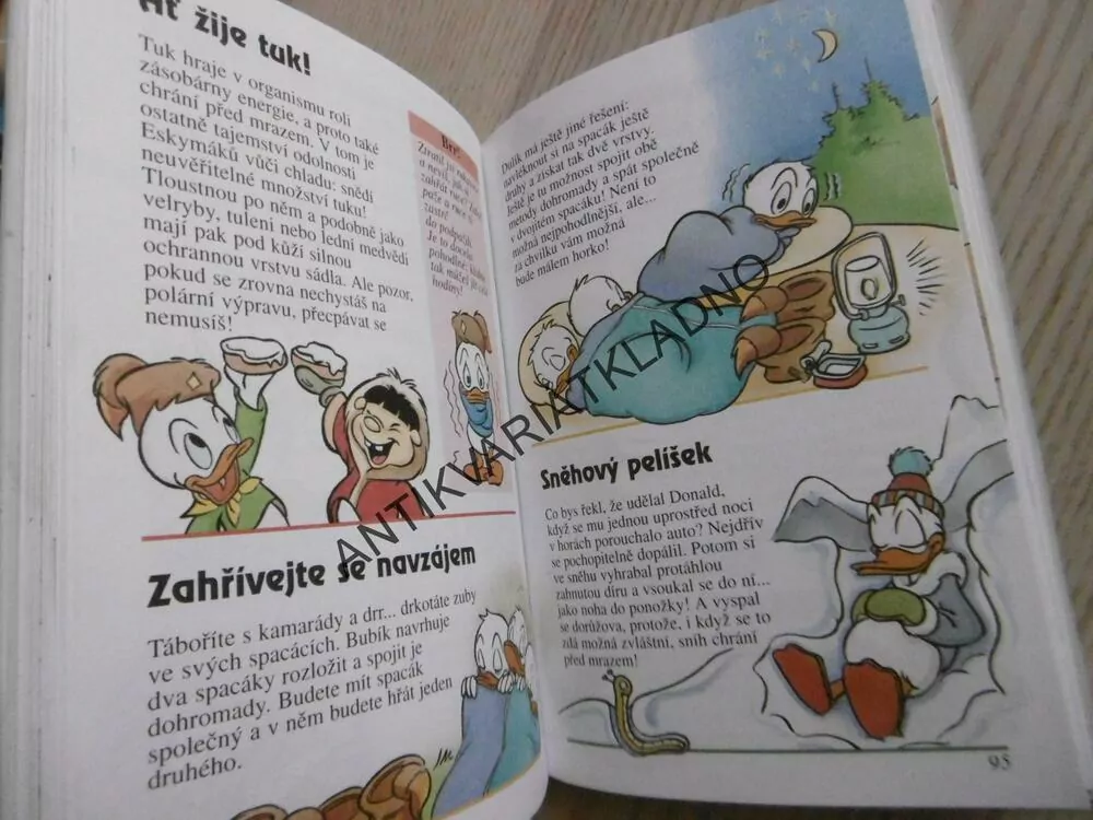 2. ZÁPISNÍK MLADÝCH SVIŠŤŮ, WALT DISNEY, **an