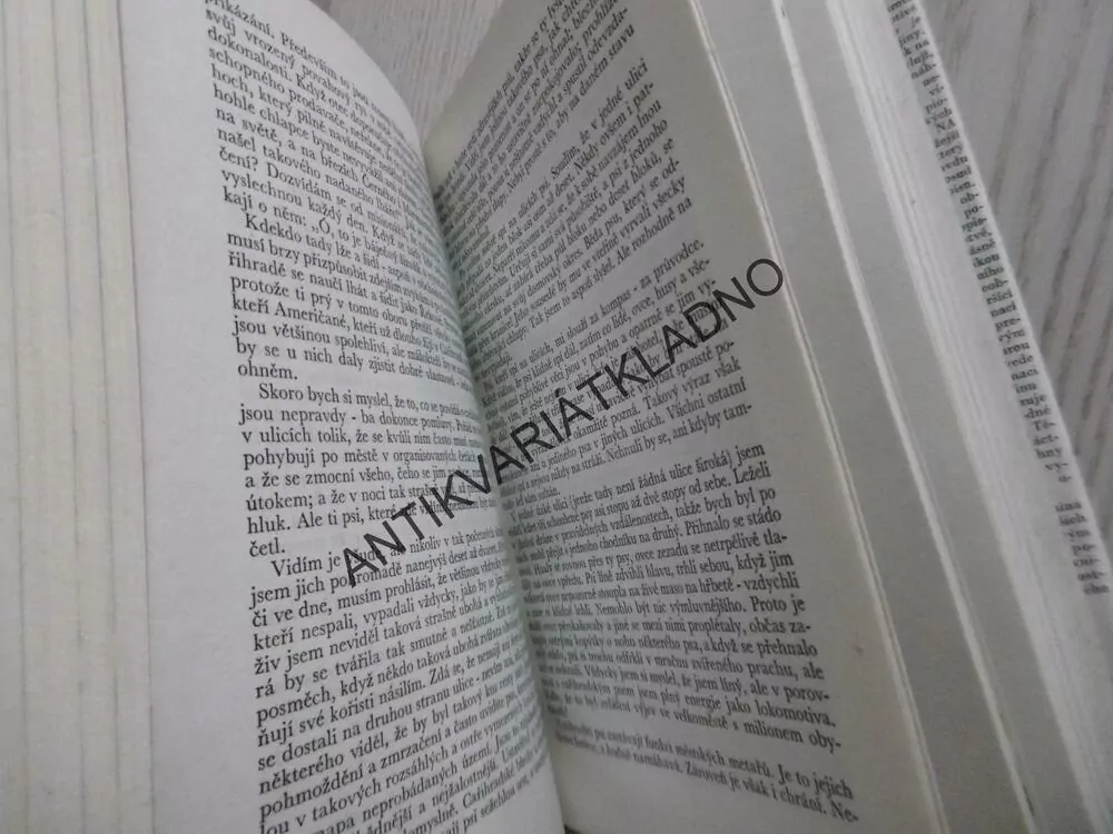 NAŠINCI NA CESTÁCH, MARK TWAIN, **an