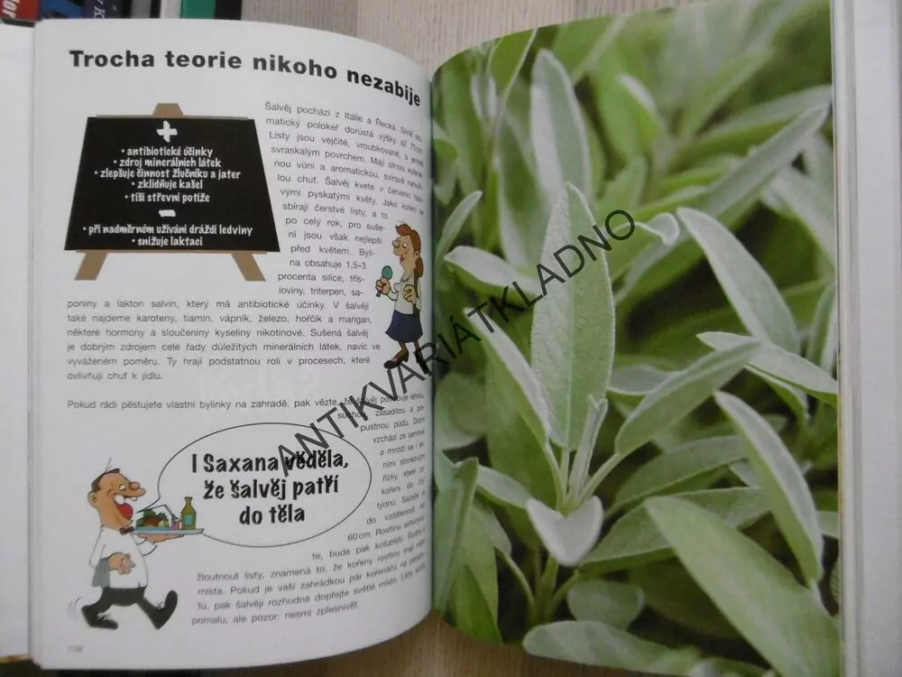 POD POKLIČKOU 3, POPELKY V ČESKÉ KUCHYNI, MONIKA HORSÁKOVÁ, KAMILA TESLÍKOVÁ, JANA STRÝČKOVÁ, **an