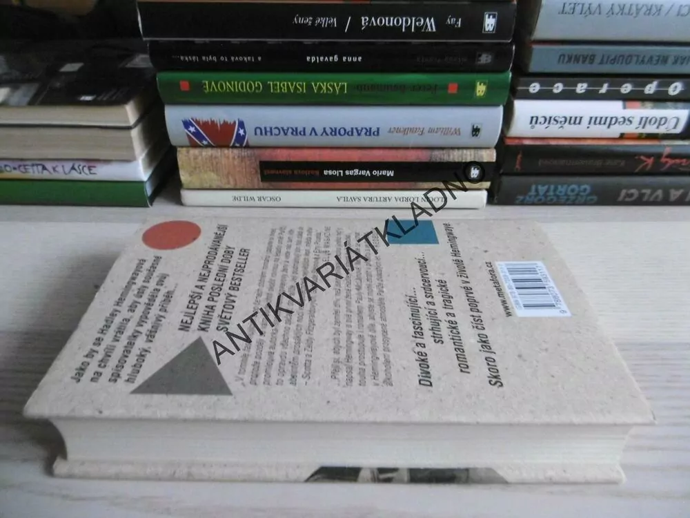 PAŘÍŽSKÁ MANŽELKA, PAULA MCLAINOVÁ, **an