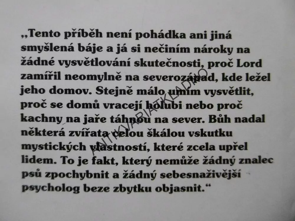 NEJLEPŠÍ KAMARÁD LORD, ALBERT PAYSON TERHUNE, **an