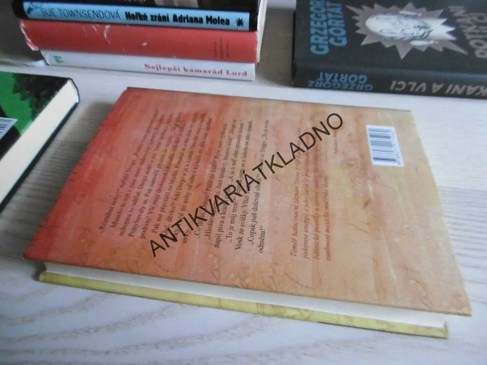 ZAŘÍKÁVÁNÍ FRIDY K., KATE BRAVERMANOVÁ, **an
