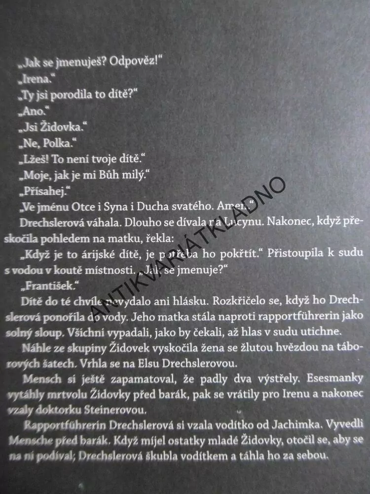 POTKANI A VLCI, GRZEGORZ GORTAT, **an