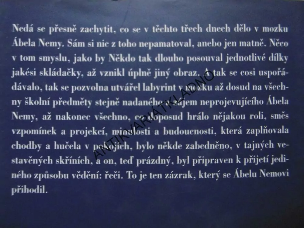 DEN CO DEN, TERÉZIA MORA, **an
