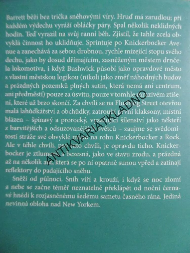 SNĚHOVÁ KRÁLOVNA, MICHAEL CUNNINGHAM, **an