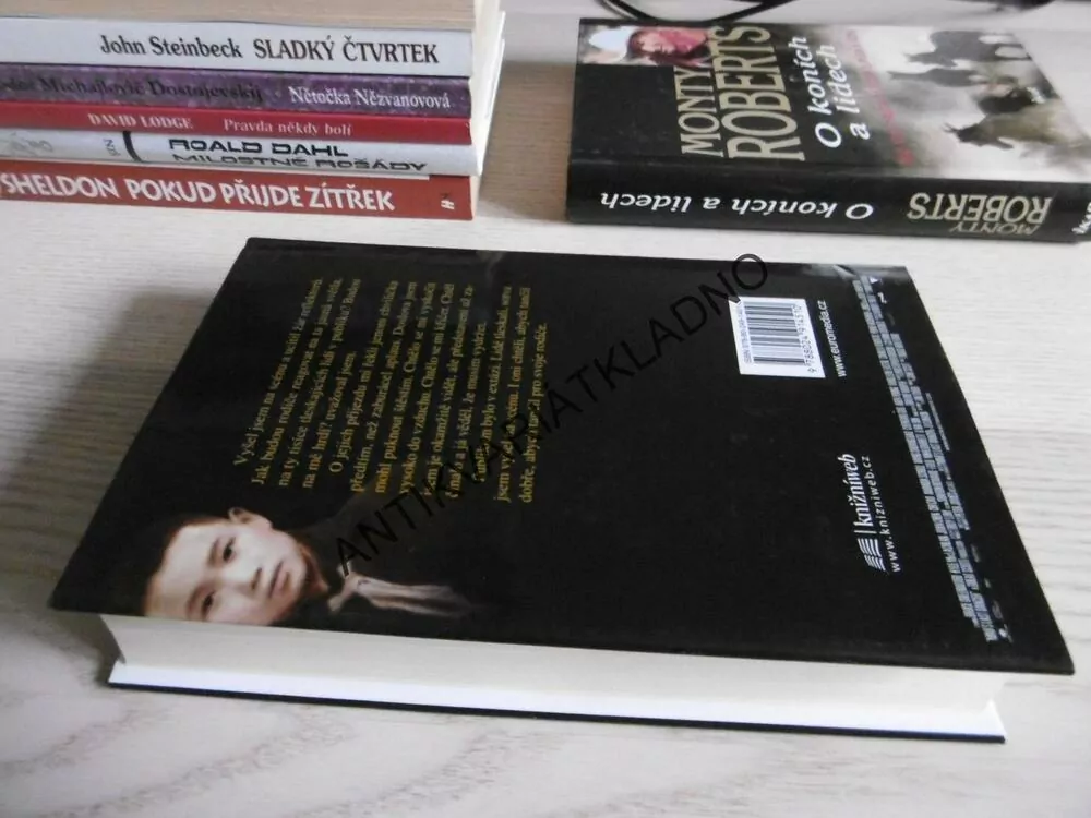 POSLEDNÍ MAŮV TANEČNÍK, LI CUNXIN, **an