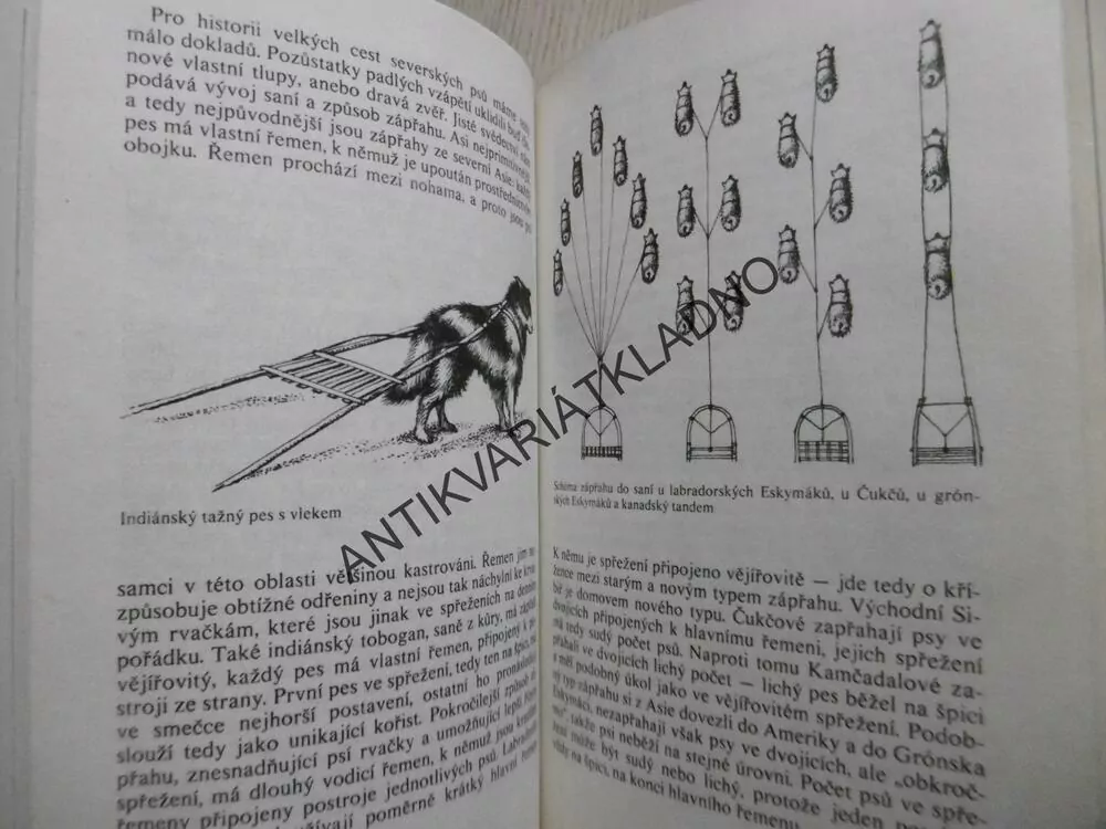 HISTORIE PSÍHO RODU, HELENA KHOLOVÁ, **an