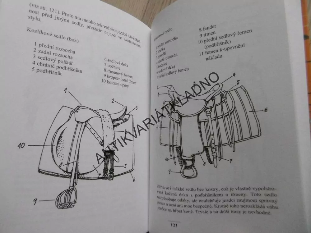 JULIE NA KOŇSKÉ FARMĚ, CHRISTIANE GOHLOVÁ, **an