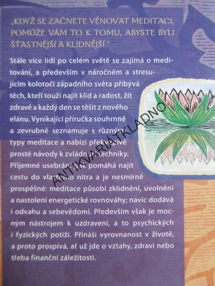 ZÁKLADY MEDITACE, LYNNE LAURENOVÁ, **an 
