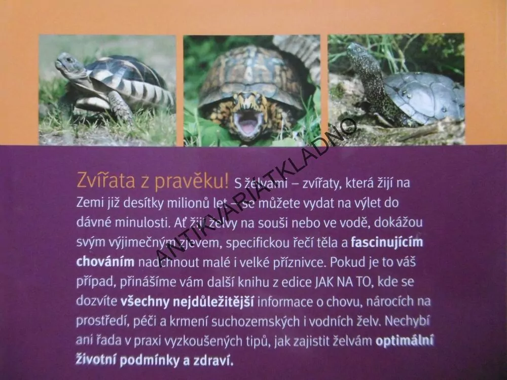 ŽELVY, HARTMUT WILKE, **an
