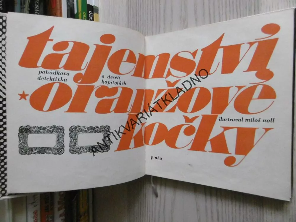 TAJEMSTVÍ ORANŽOVÉ KOČKY, POHÁDKOVÁ DETEKTIVKA PRO DĚTI, **an