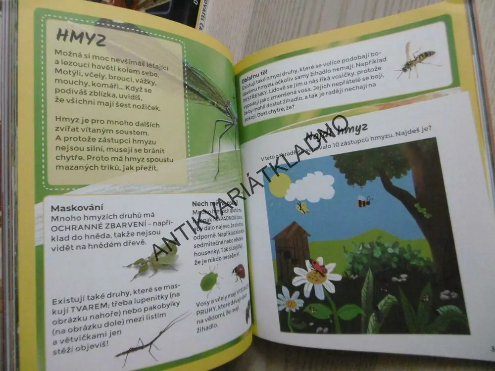 DIVOKÁ ZVÍŘATA, **an