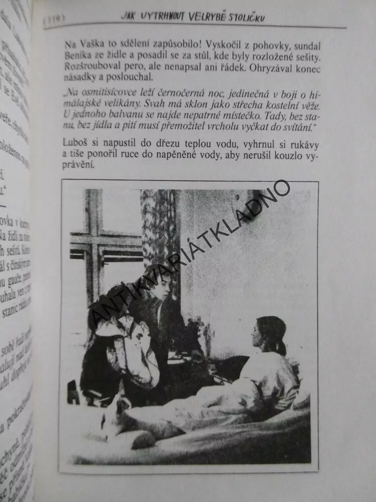 JAK VYTRHNOUT VELRYBĚ STOLIČKU, MARIE POLEDŇÁKOVÁ, **an