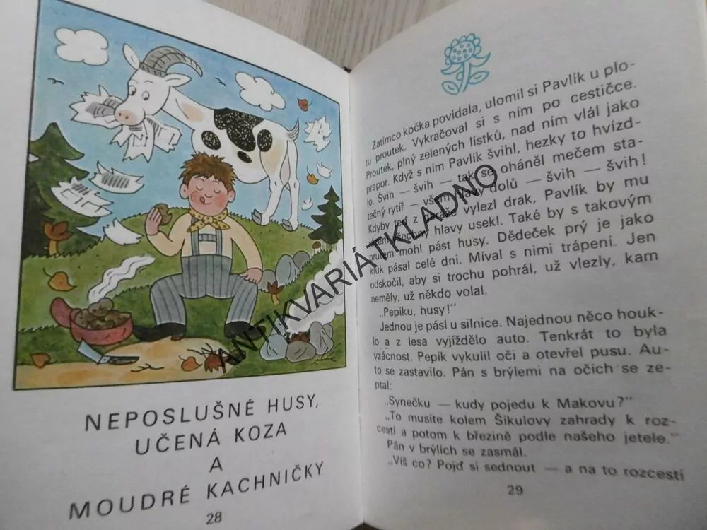 DOBRÉ RÁNO NA ZAHRÁDCE, KAMILA SOJKOVÁ, **an