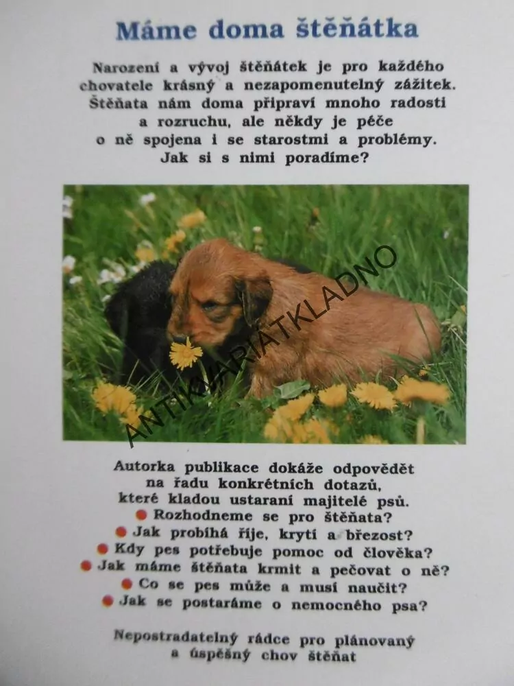 MÁME DOMA ŠTĚŇÁTKA, SABINE MIDDELHAUFOVÁ, **an