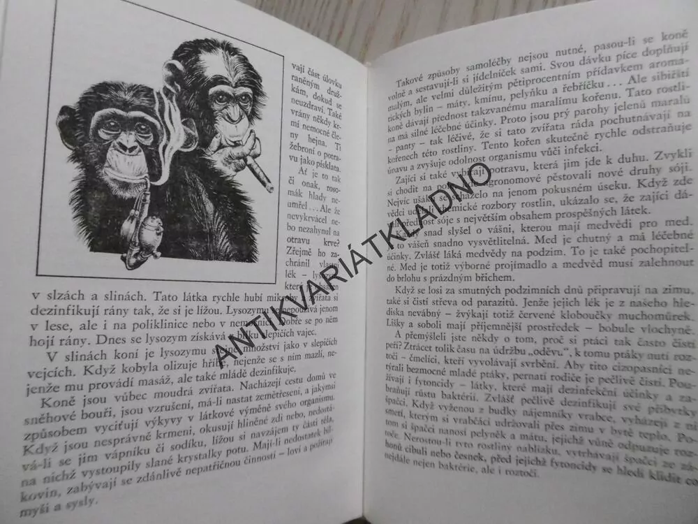 PROČ MÁ BÍLÝ PUDL ČERNÝ NOS?, STANISLAV STARIKOVIČ, **an