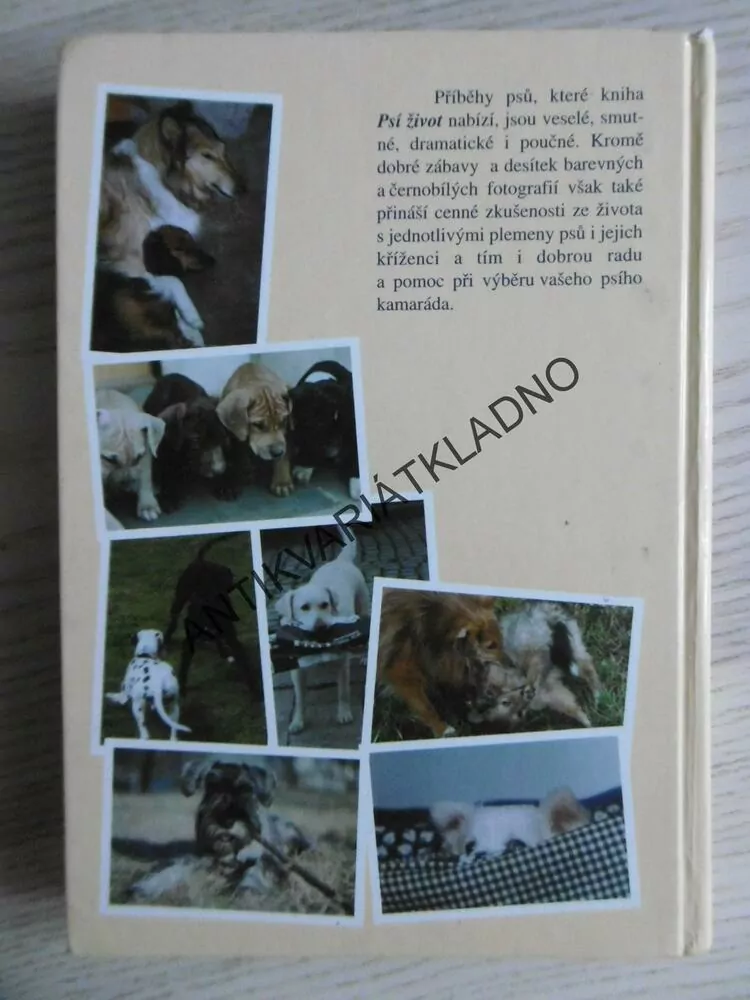 PSÍ ŽIVOT, SKUTEČNÉ PŘÍBĚHY, AUTENTICKÉ FOTOGRAFIE, **an