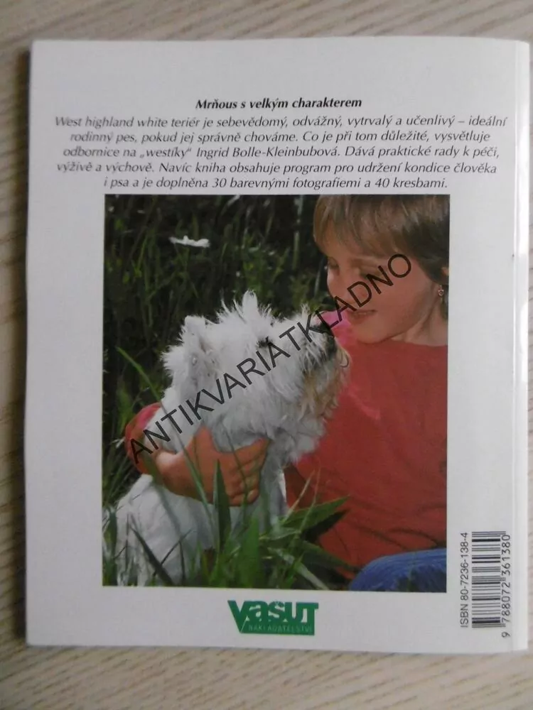 WESTÍK, WEST HIGHLAND WHITE TERIÉR, INGRID BOLLE-KLEINBUBOVÁ, **an