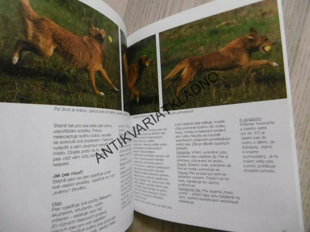 VOŘÍŠCI, INTELIGENTNÍ PSI S CHARAKTEREM, CHRISTINE METZGEROVÁ, UWE STREITFERDT, **an