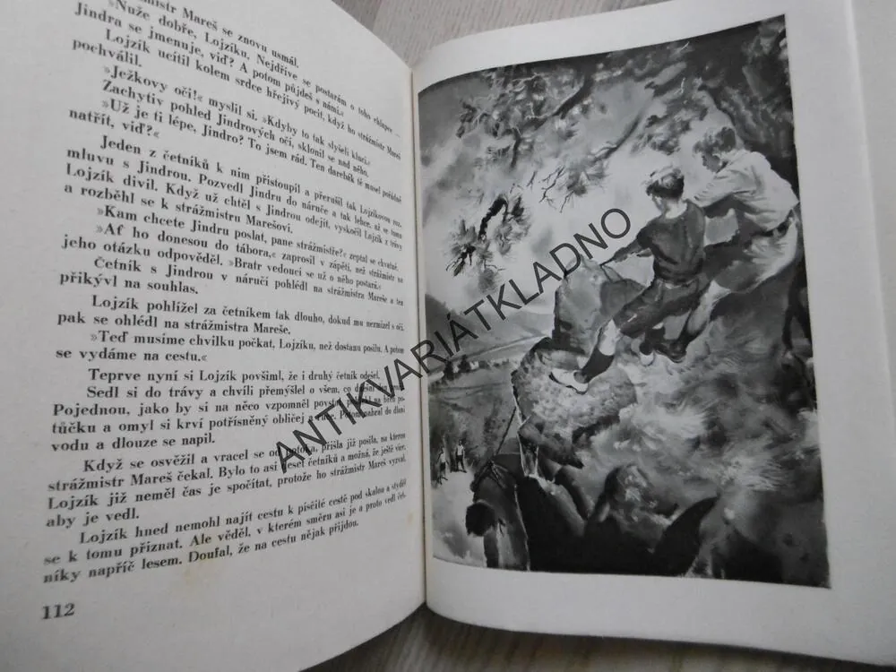 STEZKA ODVAHY, F. H. ŠUBERT, **an