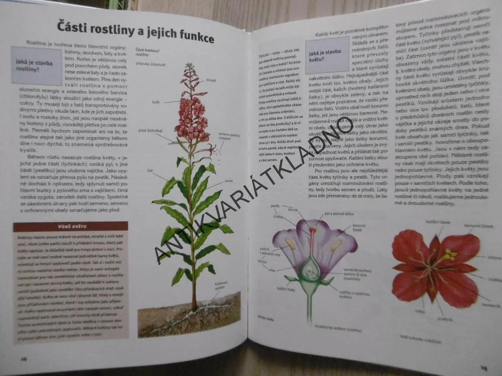 KVĚTINY V PŘÍRODĚ, EDICE CO JAK PROČ, SV.49 **an