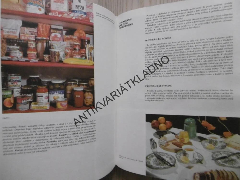 DOMOV A DOMÁCNOST, E. ILLEKOVÁ, **an