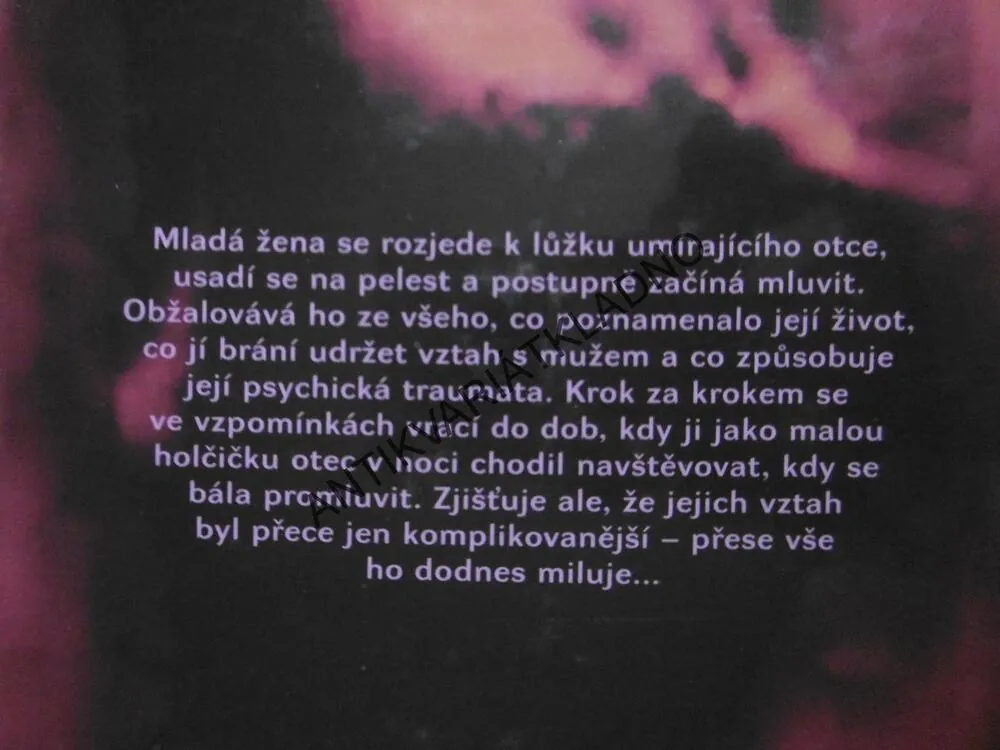 NEPLÁČE, ZPÍVÁ, AMÉLIE SARNOVÁ, **an