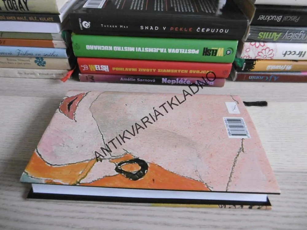 ZRZOUN, J. P. DONLEAVY, **an