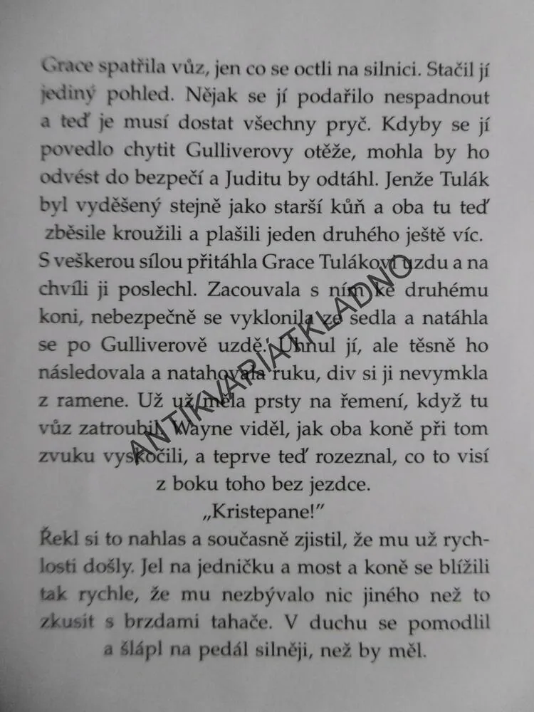 ZAŘÍKAVAČ KONÍ, NICHOLAS EVANS, **an