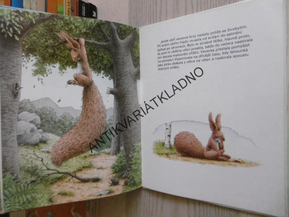VEVERKA A MALÝ NOSOROŽEC, MISCHA DAMJAN, HANS DE BEER, **an