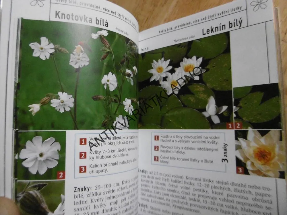 KVĚTINY, PRŮVODCE PŘÍRODOU, URČOVÁNÍ PODLE 3 ZNAKŮ, SEIDEL, HERBÁŘ