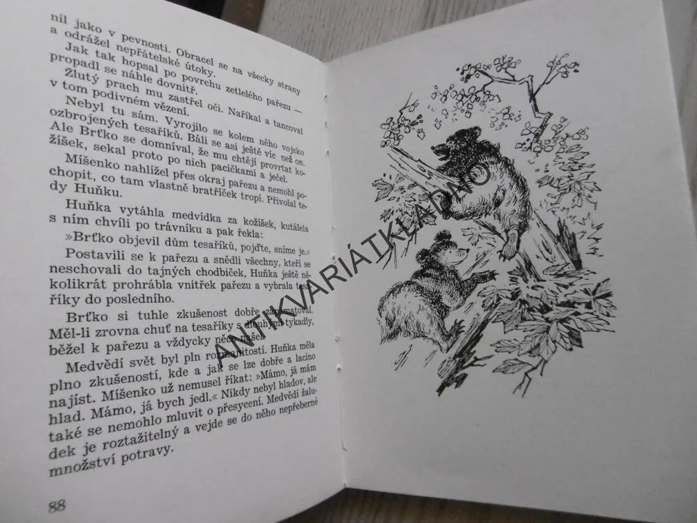 MEDVĚDÍ HORY, JOSEF KOVÁŘ, **an