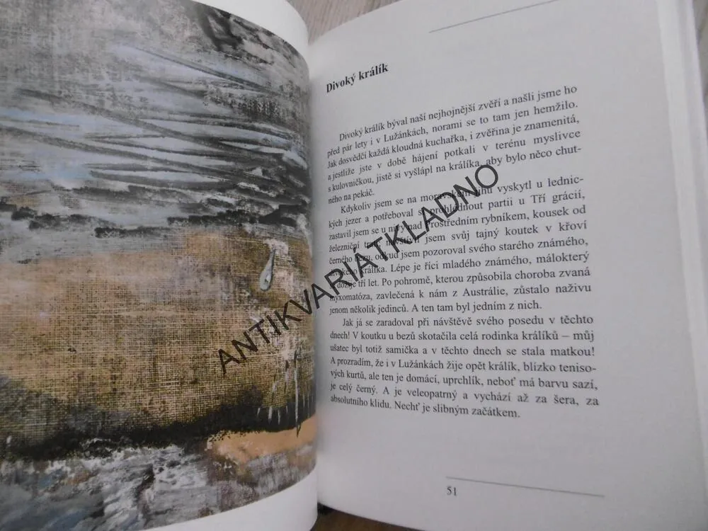 MINUTOVÁ DRAMATA, KARAVANA RADOSTI A SMUTKU, JAROMÍR TOMEČEK, **an