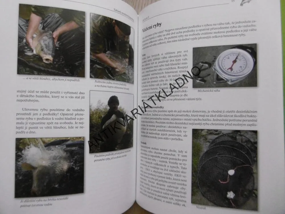 ZÁKLADY MODERNÍ KAPRAŘINY, JIŘÍ A VIKTOR KRUSOVI, **an