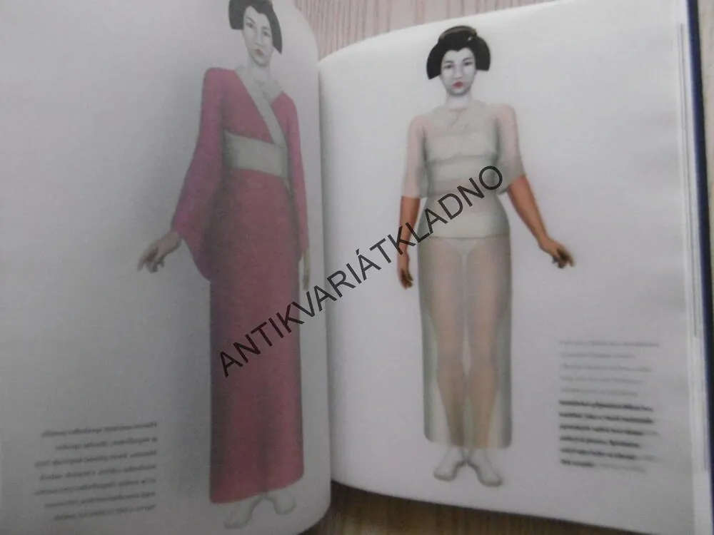 GEJŠA, JEDINEČNÝ SVĚT TRADICE, ELEGANCE A UMĚNÍ, JOHN GALLANGHER, **an