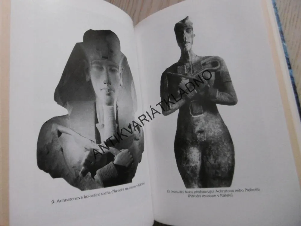 NEFERTITI, JOYCE TYLDESLEY, **an
