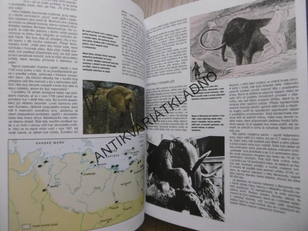 SVĚT PARANORMÁLNÍCH JEVŮ, **an