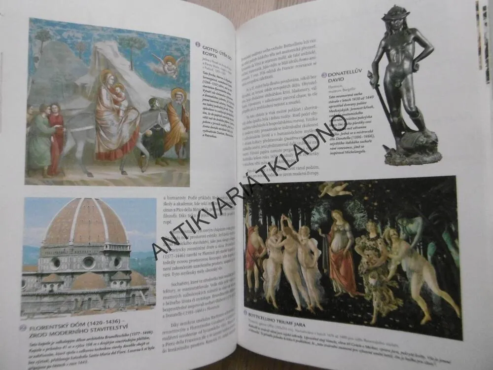 DĚJINY EVROPY, NAPSÁNO 12 EVROPSKÝMI HISTORIKY, **an