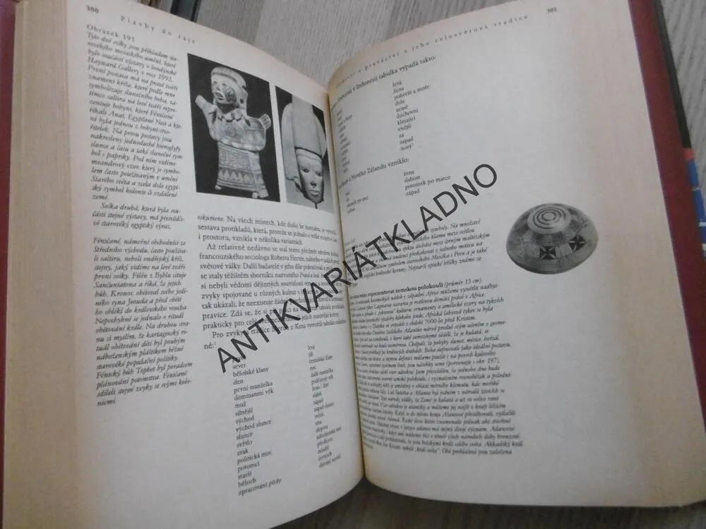 PLAVBY DO RÁJE, OBJEVENÍ AMERIKY 7000 LET PŘED KRISTEM, JIM BAILEY, **an