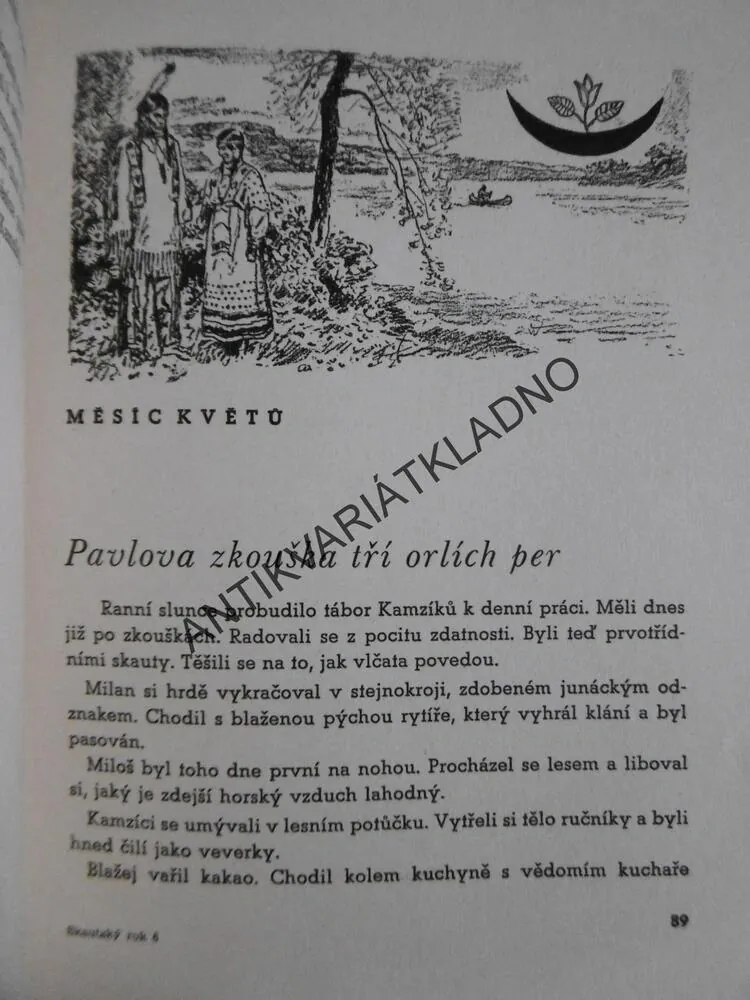 SKAUTSKÝ ROK DRUŽINY KAMZÍKŮ, JOSEF NOVÁK, SKAUT, JUNÁK 1938