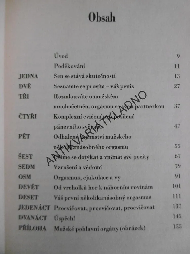 JAK SE MILOVAT CELOU NOC, BARBARA KESLING, **an