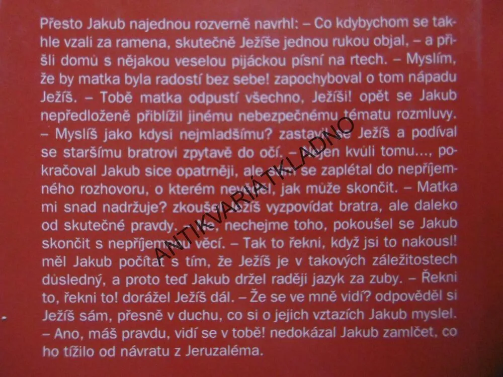 JEŽÍŠŮV BRATR, ANTONÍN RAŠEK, **an