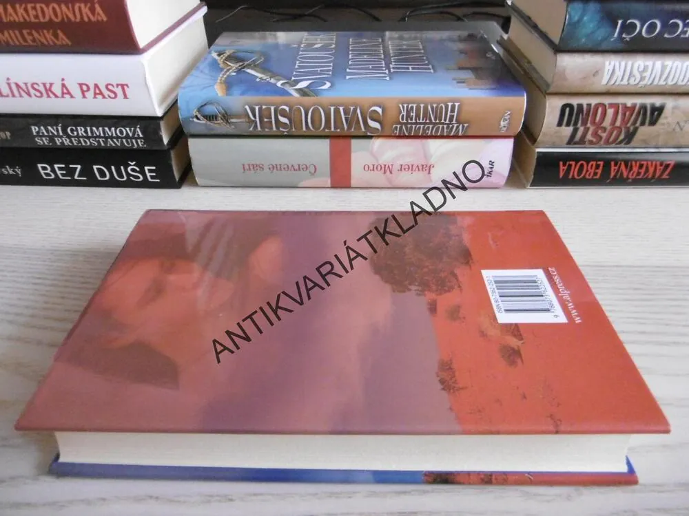 VZDÁLENÝ PŘÍSTAV, TAMARA MCKINLEY, **an