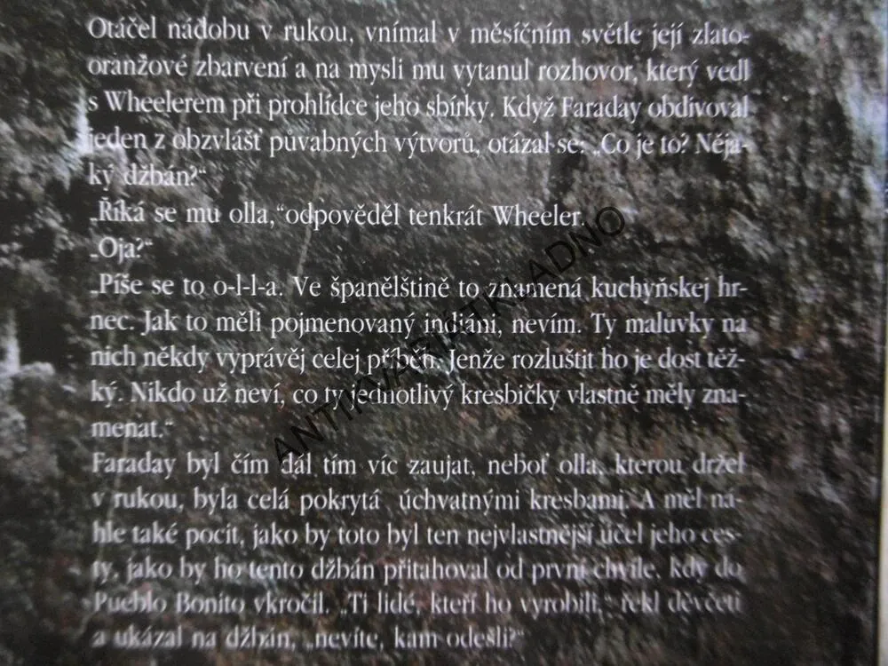 POSLEDNÍ ŠAMANKA, BARBARA WOODOVÁ, **an
