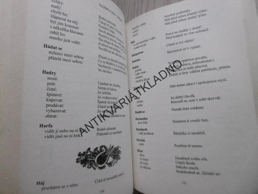 SNÁŘ, DAGMAR KLUDSKÁ, **an