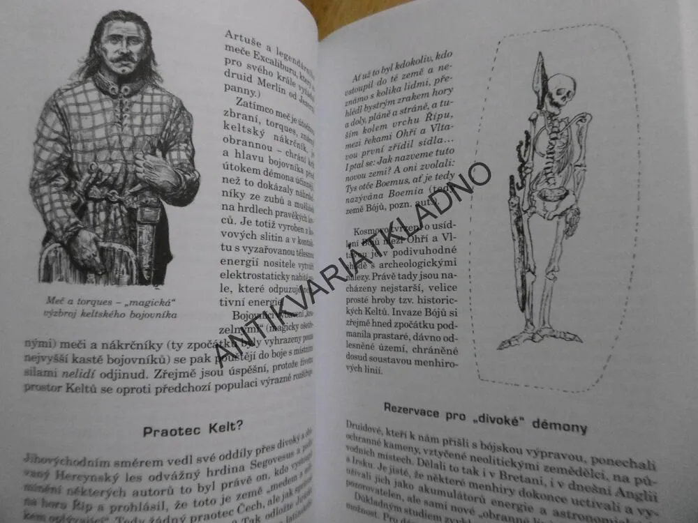 UTAJENÉ DĚJINY ČECH, OD PRAVĚKU DO 1435, ČESAL, OTOMAR DVOŘÁK, MÁTL, HISTORIE, **an