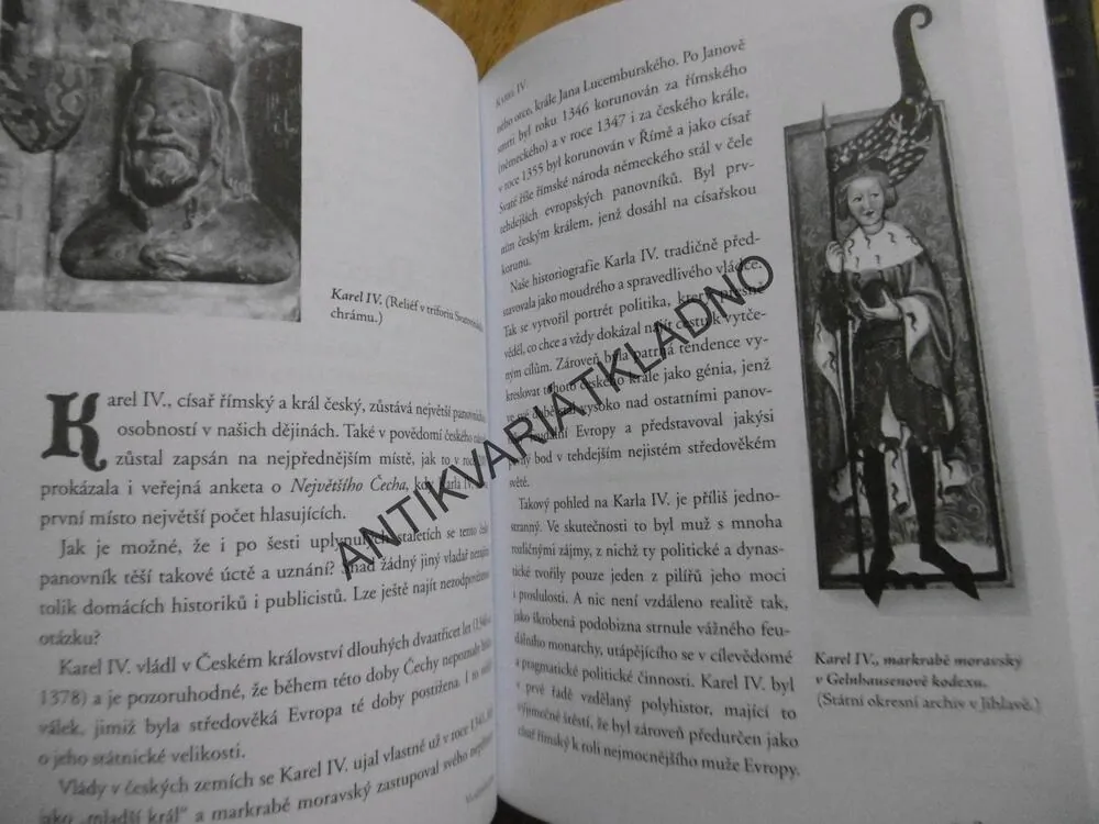 PANOVNÍCI ČESKÝCH ZEMÍ FAKTA, MÝTY, OTAZNÍKY, LIŠKA