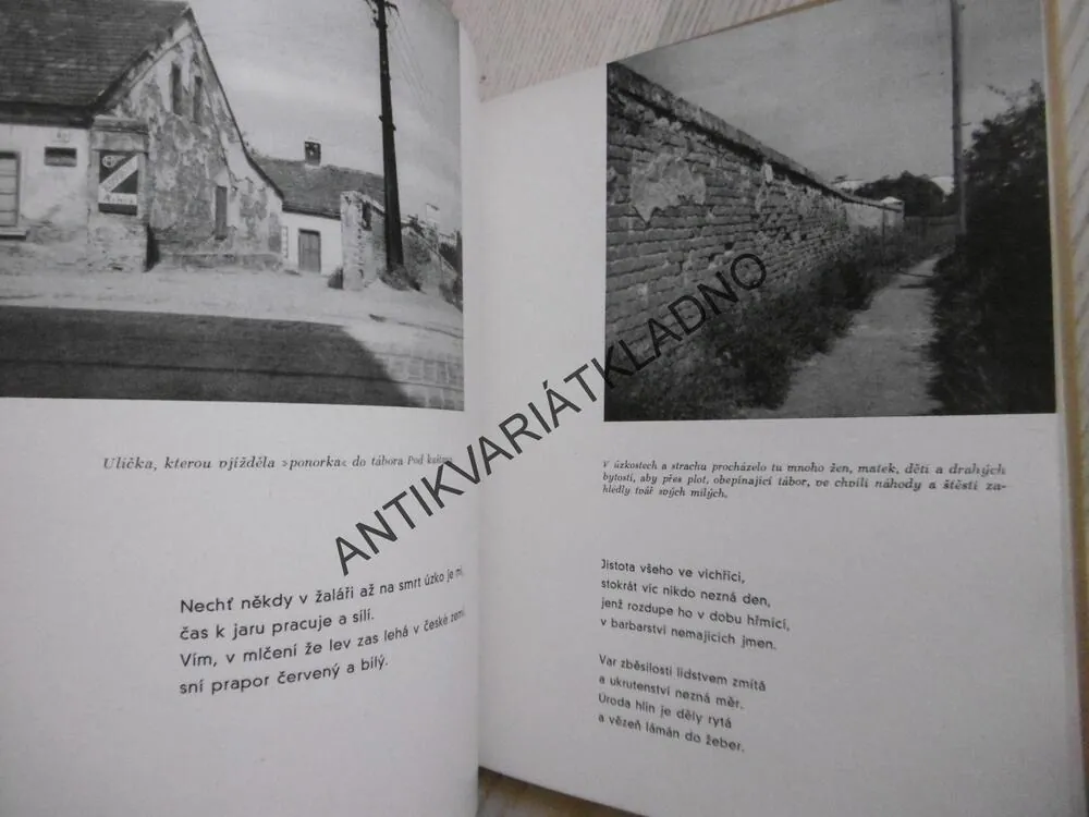 GOLGATA, **an